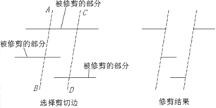 修剪线条