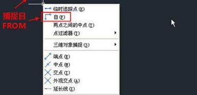 选择捕捉自选项 选择捕捉自选项