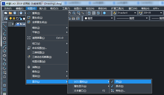 选择UCS图标显示选项