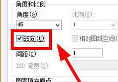 启用双向填充 启用双向填充