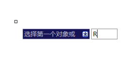 输入半径选项