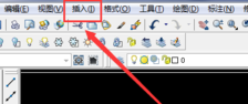 插入选项 插入选项