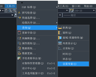 设置变量入口